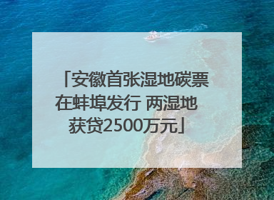 安徽首张湿地碳票在蚌埠发行 两湿地获贷2500万元