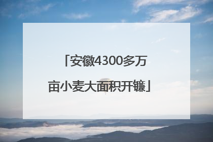 安徽4300多万亩小麦大面积开镰