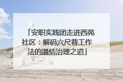 安职实践团走进西苑社区：解码六尺巷工作法的温情治理之道