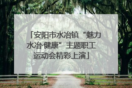安阳市水冶镇“魅力水冶·健康”主题职工运动会精彩上演