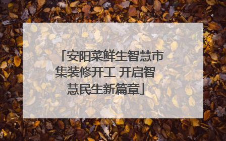 安阳菜鲜生智慧市集装修开工 开启智慧民生新篇章