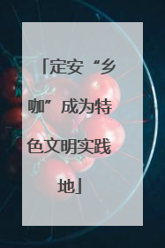 定安“乡咖”成为特色文明实践地