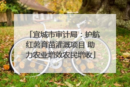 宜城市审计局：护航红薯育苗灌溉项目 助力农业增效农民增收