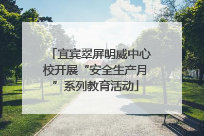 宜宾翠屏明威中心校开展“安全生产月”系列教育活动