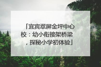 宜宾翠屏金坪中心校：幼小衔接架桥梁，探秘小学初体验