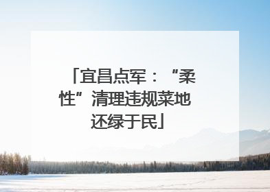 宜昌点军：“柔性”清理违规菜地 还绿于民