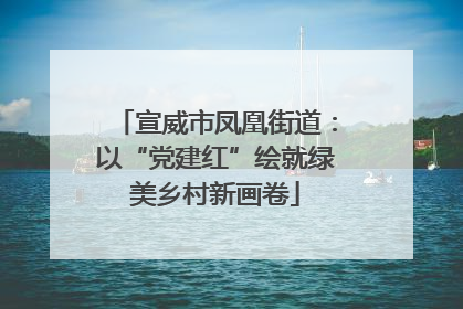 宣威市凤凰街道：以“党建红”绘就绿美乡村新画卷