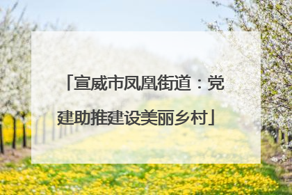 宣威市凤凰街道：党建助推建设美丽乡村