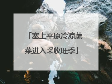 塞上平原冷凉蔬菜进入采收旺季