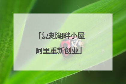 复刻湖畔小屋 阿里重新创业