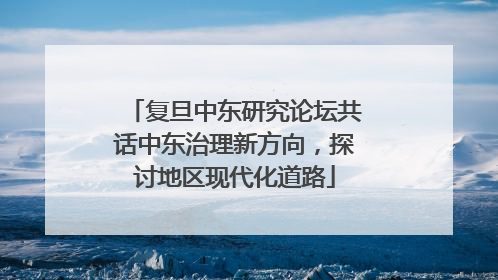 复旦中东研究论坛共话中东治理新方向，探讨地区现代化道路