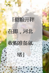 夏粮开秤在即，河北收购准备就绪