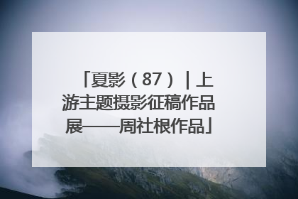 夏影（87）｜上游主题摄影征稿作品展——周社根作品