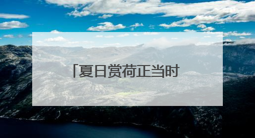 夏日赏荷正当时 茶亭公园展出近200种精品荷花
