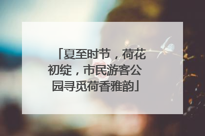 夏至时节，荷花初绽，市民游客公园寻觅荷香雅韵
