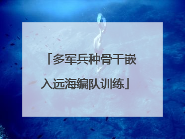 多军兵种骨干嵌入远海编队训练