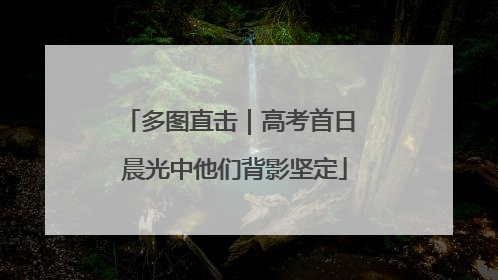 多图直击｜高考首日 晨光中他们背影坚定
