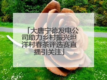 大唐宁德发电公司助力乡村振兴坦洋村春茶评选赛直播引关注