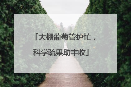 大棚葡萄管护忙，科学疏果助丰收