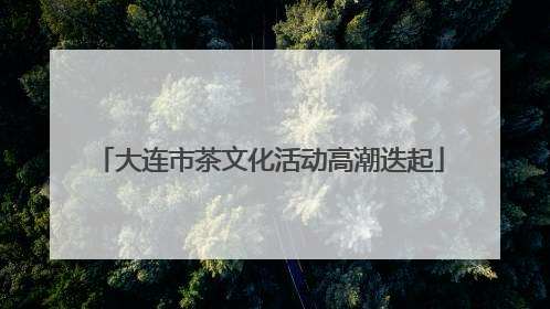 大连市茶文化活动高潮迭起