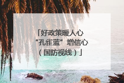 好政策暖人心 “孔雀蓝”增信心（国防视线）