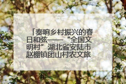 奏响乡村振兴的春日和弦——“全国文明村”湖北省安陆市赵棚镇团山村农文旅融合发展见闻