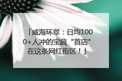 威海环翠：日均1000+人冲的宝藏“首店”在这条网红街区！