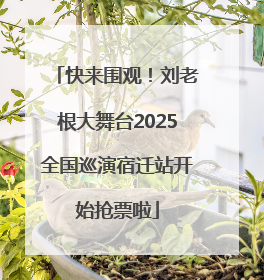 快来围观！刘老根大舞台2025全国巡演宿迁站开始抢票啦