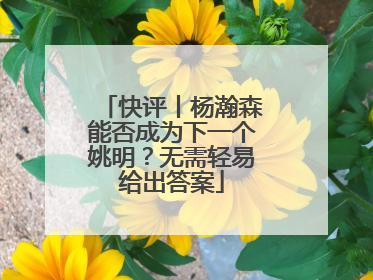 快评丨杨瀚森能否成为下一个姚明？无需轻易给出答案