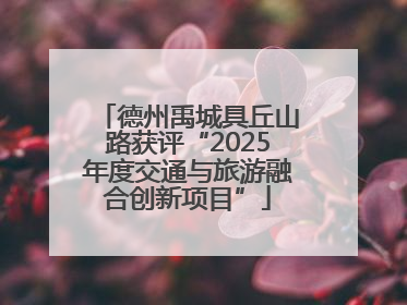 德州禹城具丘山路获评“2025年度交通与旅游融合创新项目”