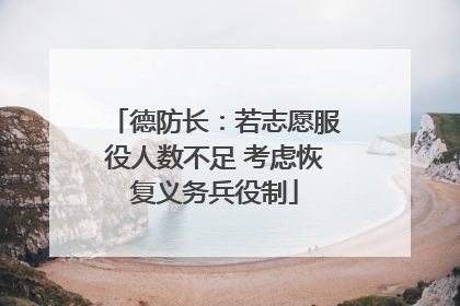 德防长：若志愿服役人数不足 考虑恢复义务兵役制
