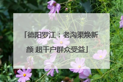 德阳罗江：老沟渠焕新颜 超千户群众受益
