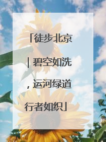 徒步北京｜碧空如洗，运河绿道行者如织