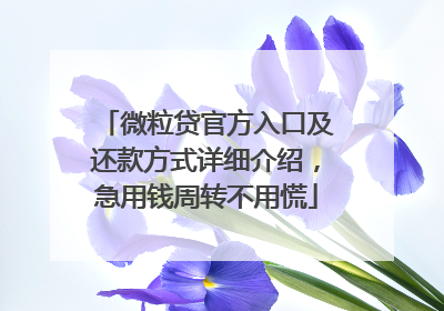 微粒贷官方入口及还款方式详细介绍，急用钱周转不用慌