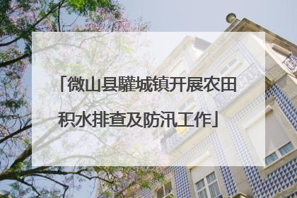微山县驩城镇开展农田积水排查及防汛工作