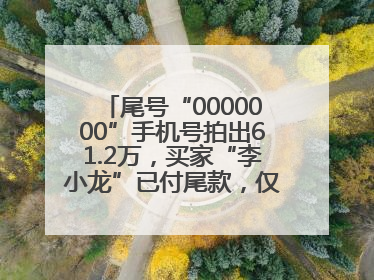 尾号“0000000”手机号拍出61.2万，买家“李小龙”已付尾款，仅享有使用权
