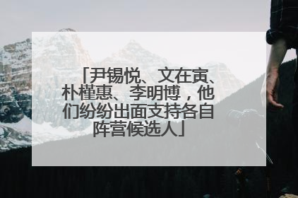 尹锡悦、文在寅、朴槿惠、李明博，他们纷纷出面支持各自阵营候选人