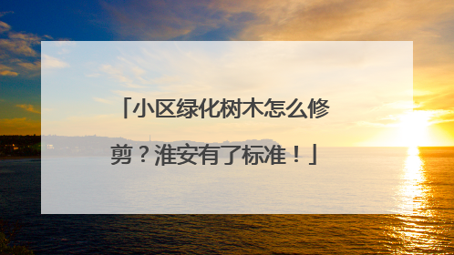 小区绿化树木怎么修剪？淮安有了标准！