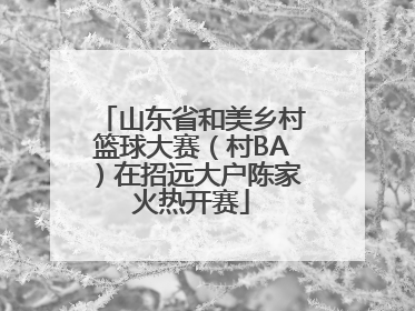山东省和美乡村篮球大赛（村BA）在招远大户陈家火热开赛