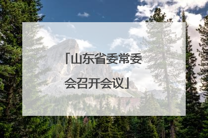 山东省委常委会召开会议