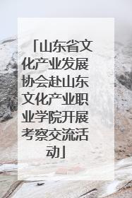 山东省文化产业发展协会赴山东文化产业职业学院开展考察交流活动
