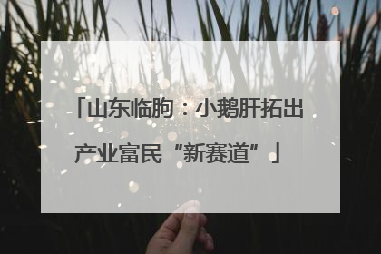 山东临朐：小鹅肝拓出产业富民“新赛道”