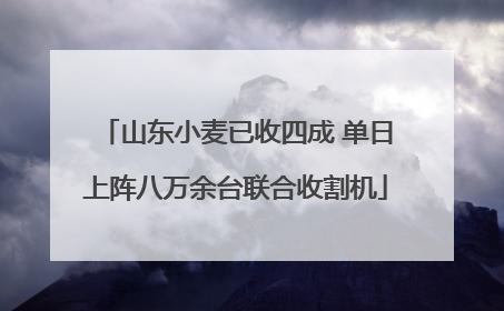 山东小麦已收四成 单日上阵八万余台联合收割机