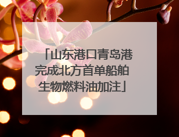 山东港口青岛港完成北方首单船舶生物燃料油加注