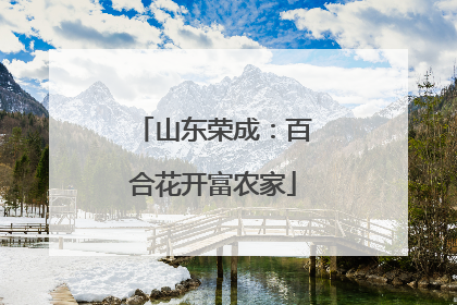 山东荣成：百合花开富农家