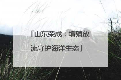 山东荣成：增殖放流守护海洋生态