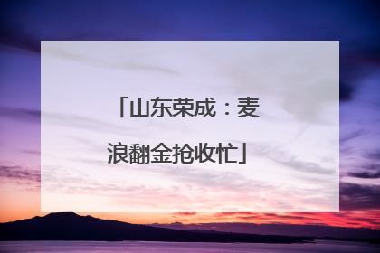 山东荣成：麦浪翻金抢收忙