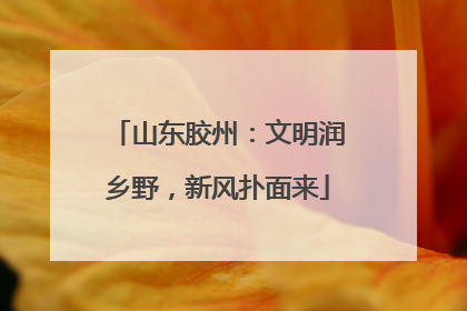山东胶州：文明润乡野，新风扑面来