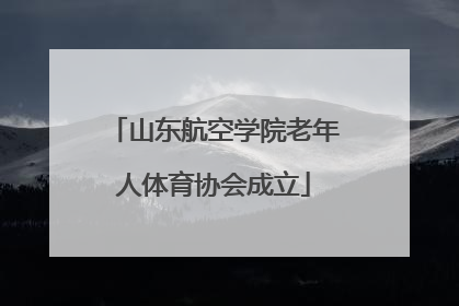 山东航空学院老年人体育协会成立