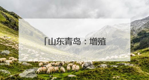 山东青岛：增殖放流 修复生态
